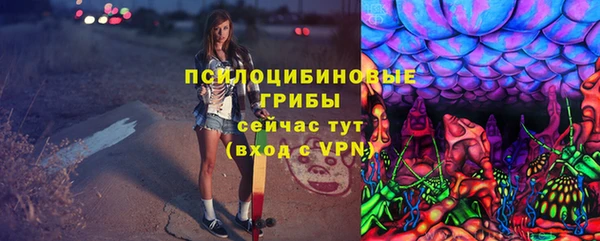 прущая мука Белокуриха