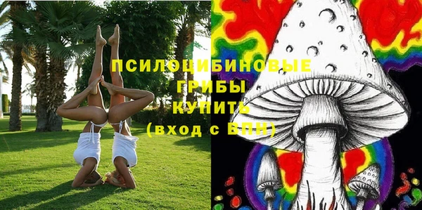 прущая мука Белокуриха